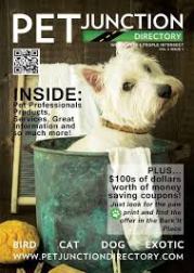 pet junction magazine