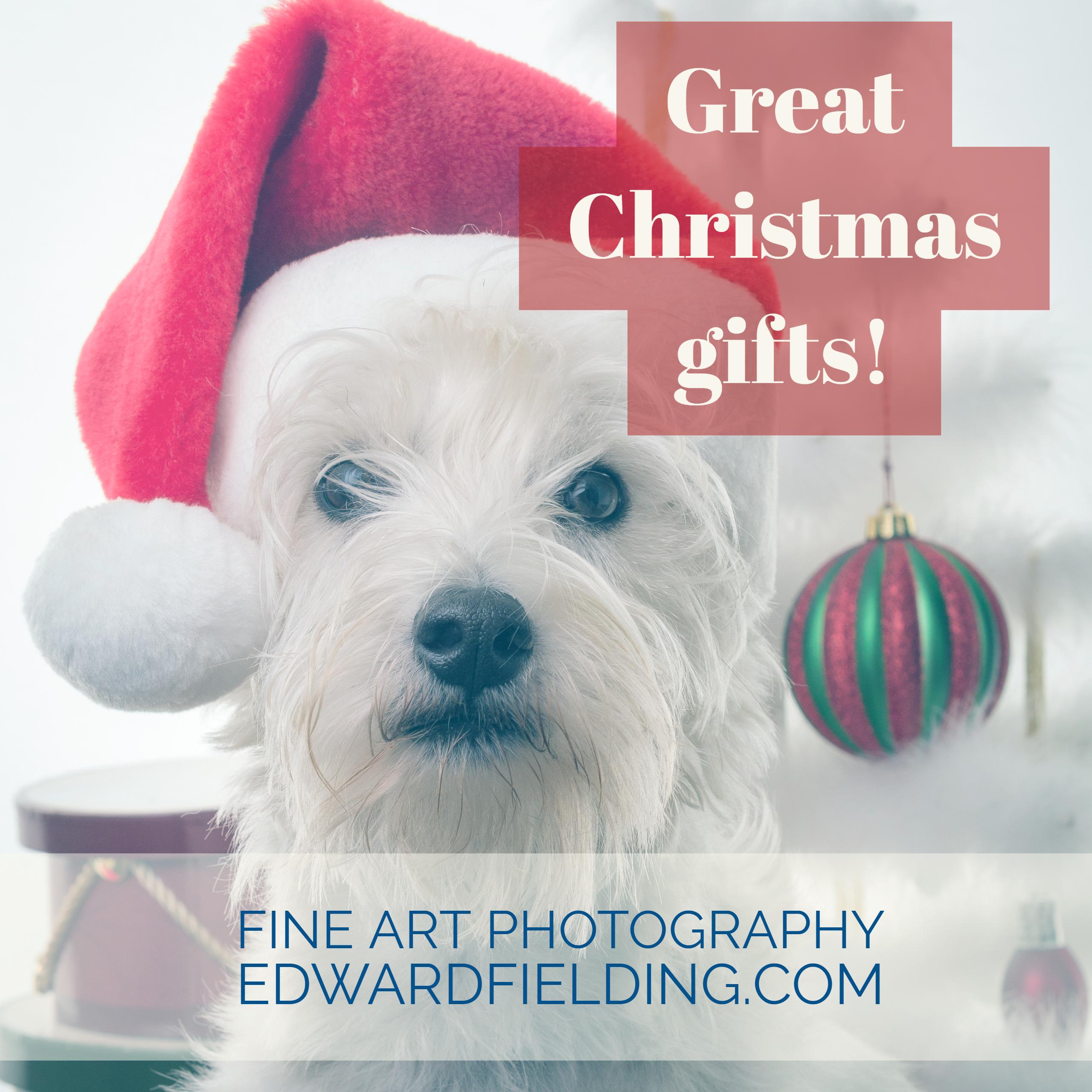 Great Christmas Gifts