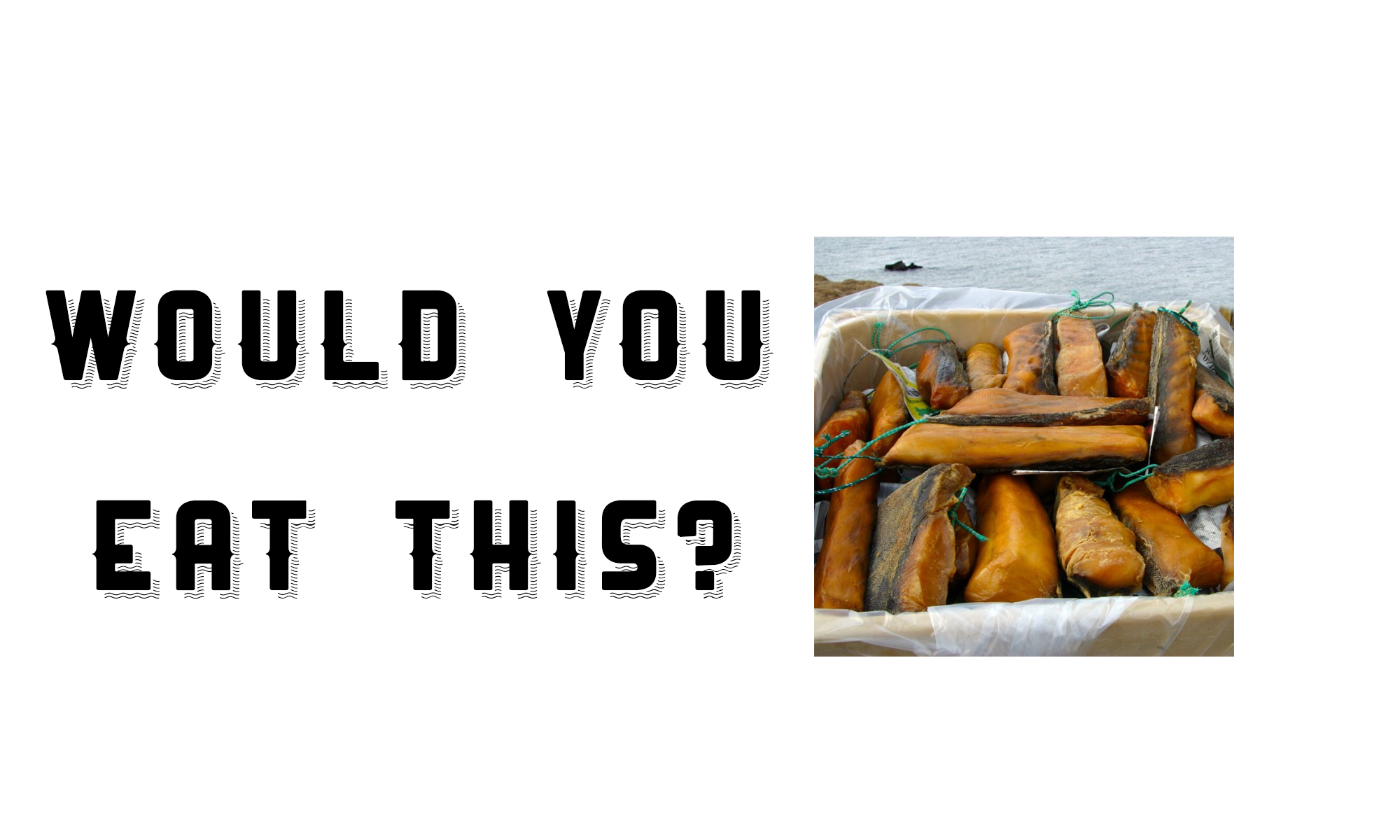 Would You Eat This?