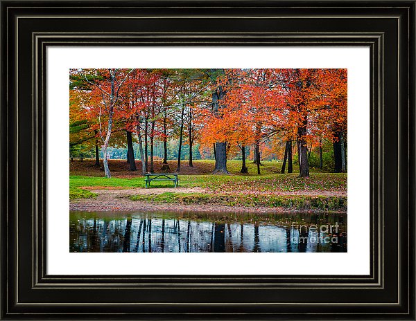 How to create the perfect photograph