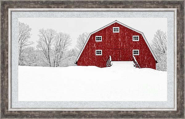 Blizzard at the red dairy barn.