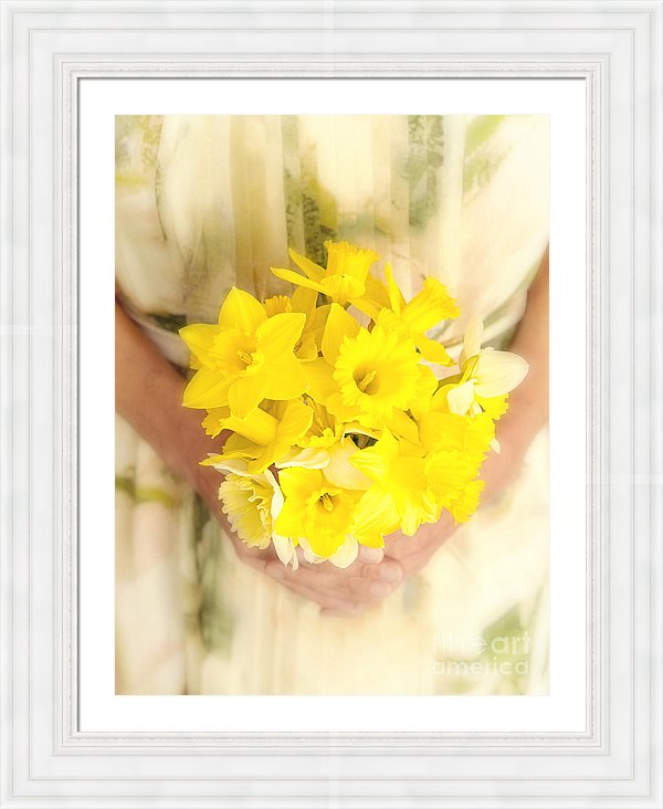 Fresh spring yellow daffodils.