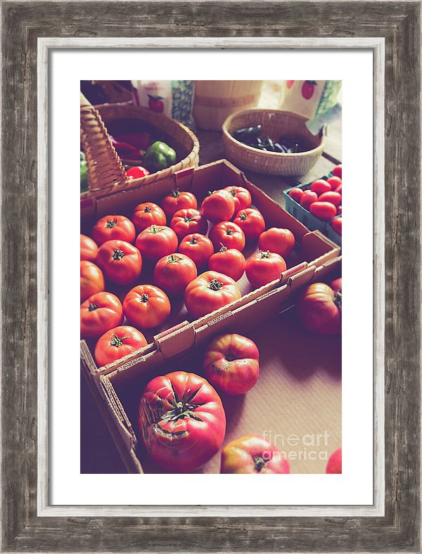 Farm fresh tomato farm stand photography