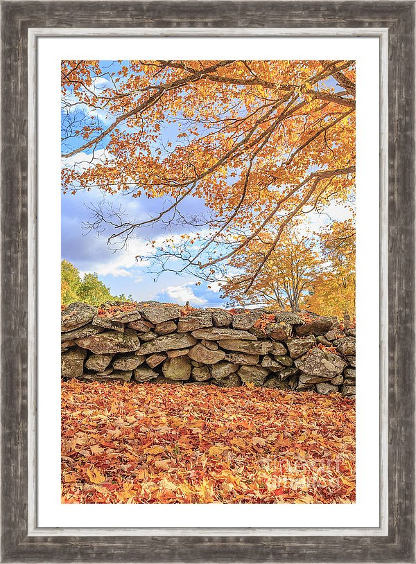 New England Photography by Edward M. Fielding