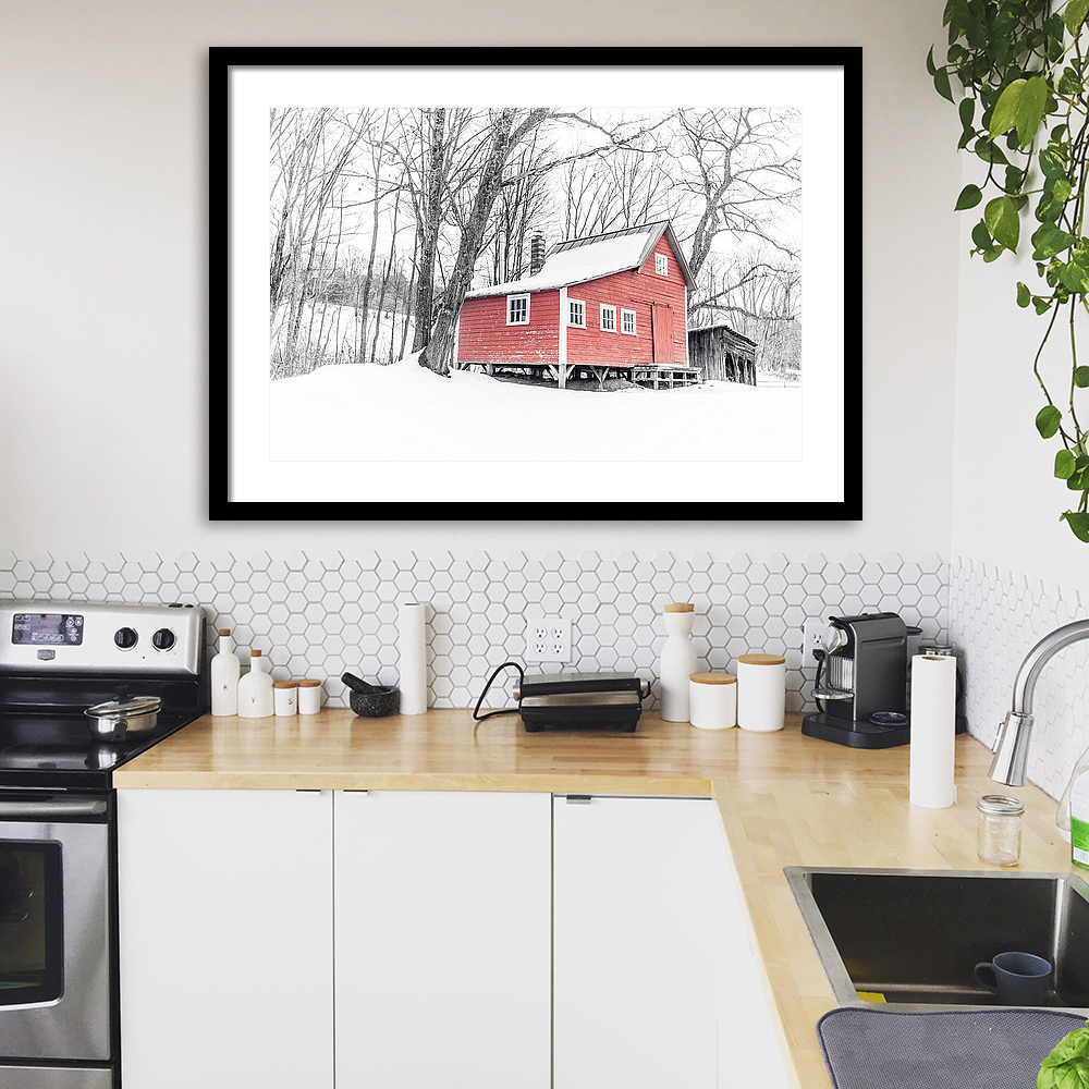 Remote cabin in the woods