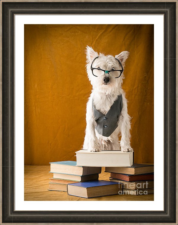 Bookish Dog by Edward M. Fielding.