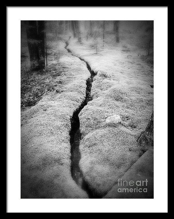 Path Taken by Edward M. Fielding