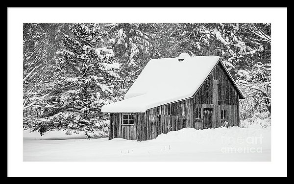 emote cabin in the woods