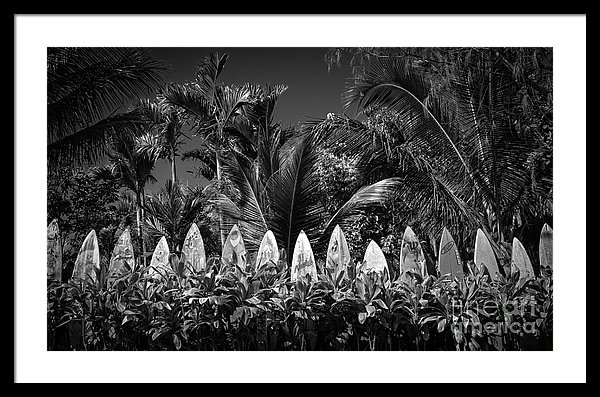 Surf board fence Maui, Hawaii