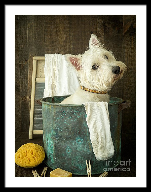 "Wash Day" by Edward M. Fielding has sold a bunch of times as a fine art print.