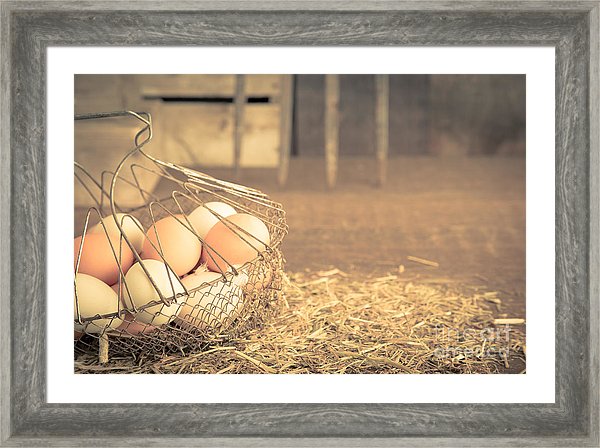 Vintage Eggs In Wire Basket by Edward Fielding