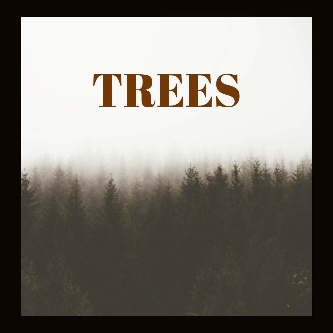Trees