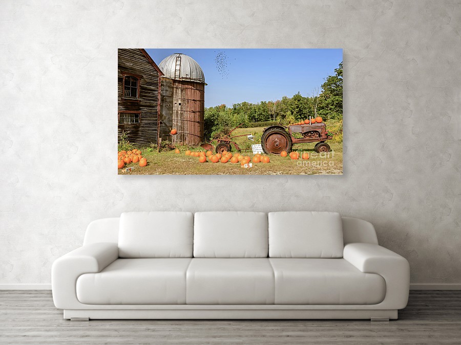 Pumpkins For Sale Thanks For Your Honesty