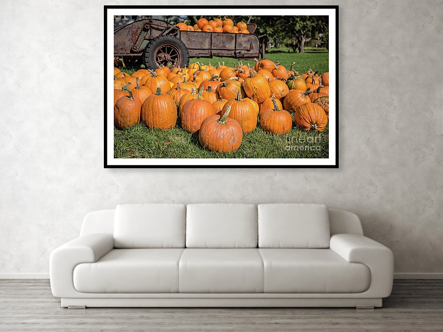 Pumpkins for sale Vermont