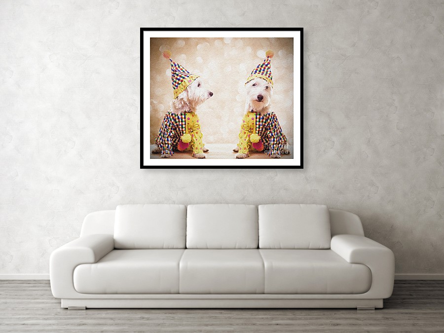 Westie dog in clown outfit