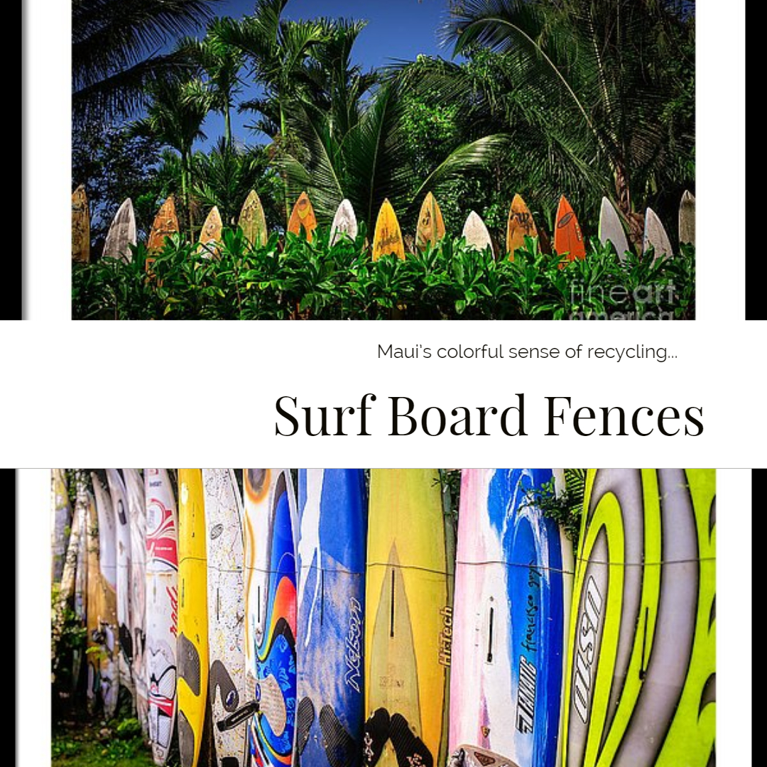 Surf Board Fence Maui Hawaii fine art photography by Edward M. Fielding