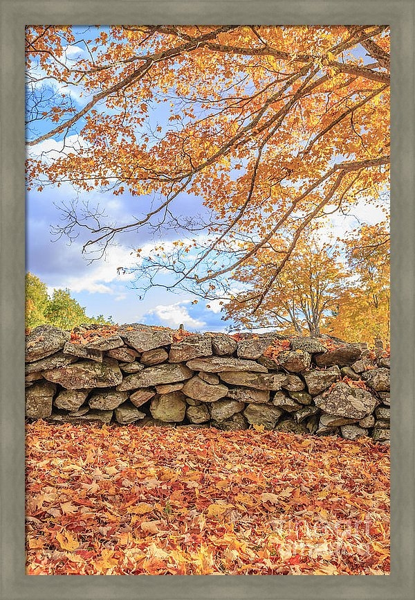 Print of New England Stone Wall With Fall Foliage to a buyer from New York, NY.