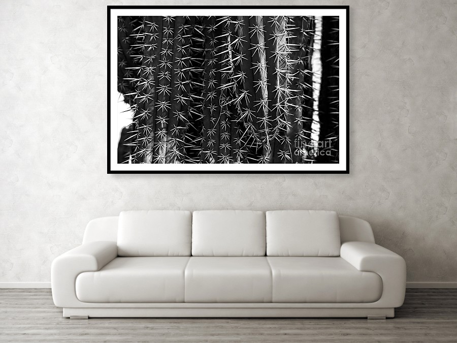 Saguaro Cactus fine art photography by Edward M. Fielding