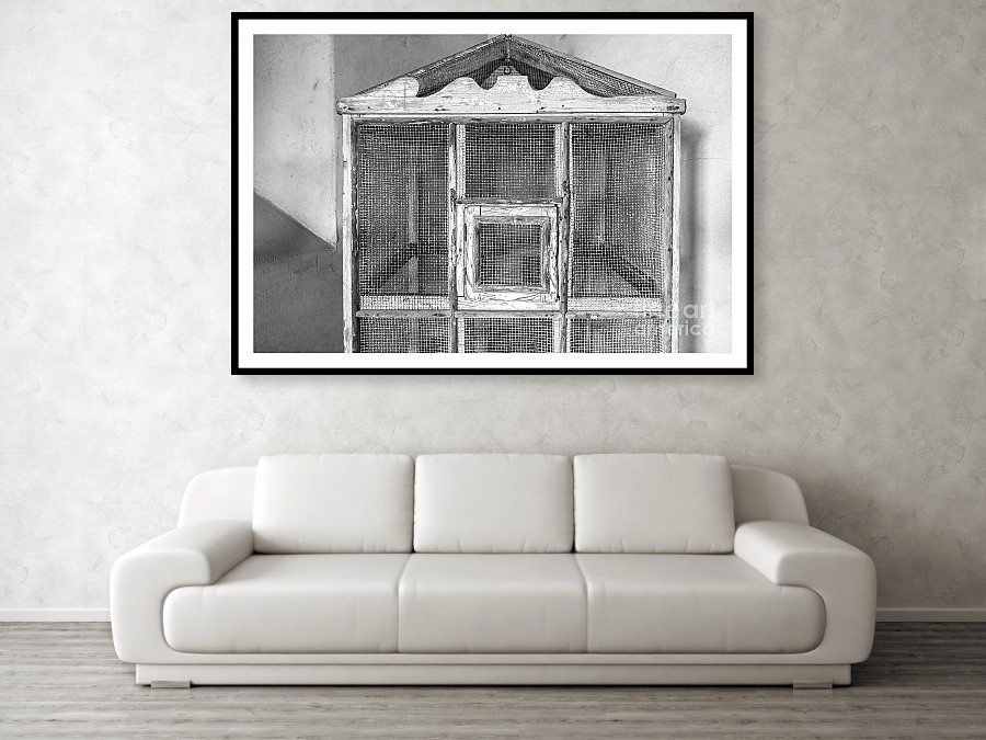 The Bird Cage by Edward M. Fielding - https://edward-fielding.pixels.com/featured/the-bird-cage-edward-fielding.html