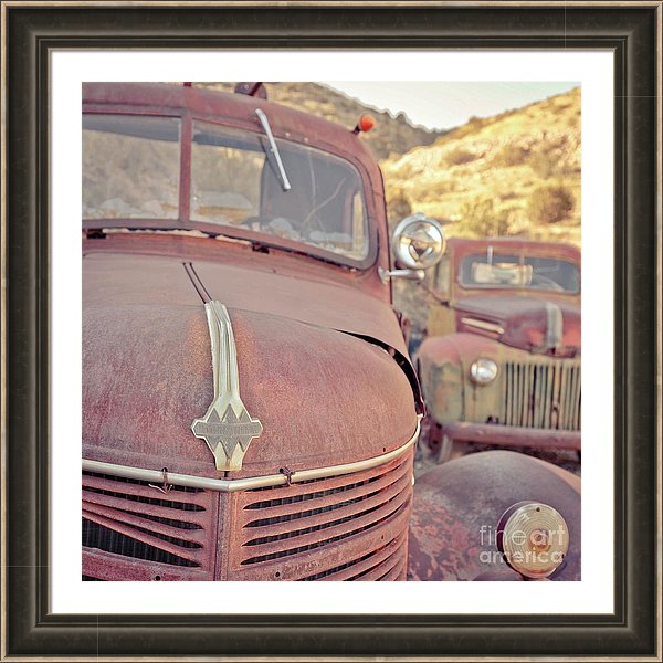 Framed and matted print 30x30 inch of Two Old Friends