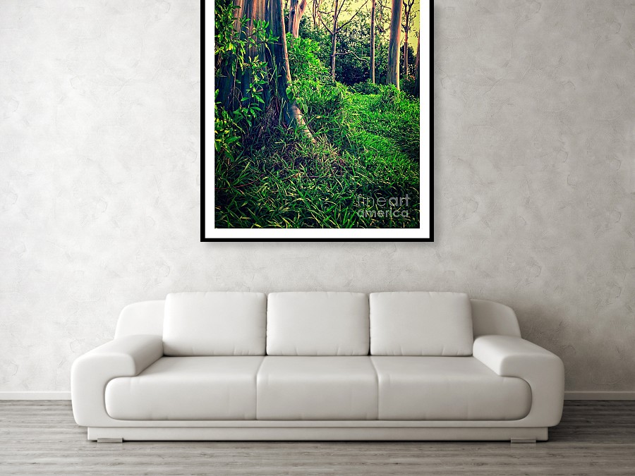 Magical Forest Fine Art Photography by Edward M. Fielding
