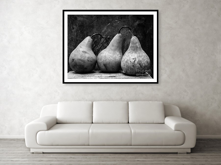 Fine Art Photography