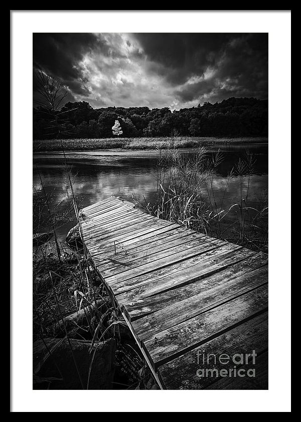 The Tree of Zen by Edward M. Fielding