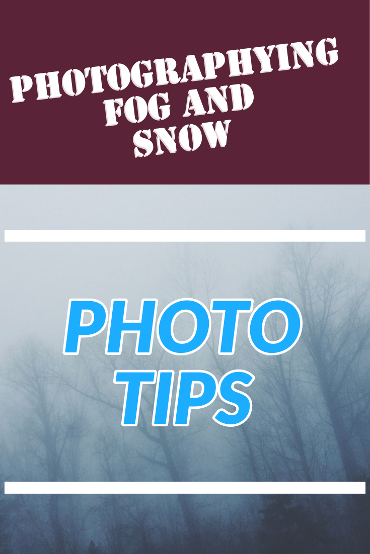 Photo tips for snow and fog