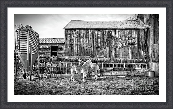 Sugarbush Farm Woodstock Vermont