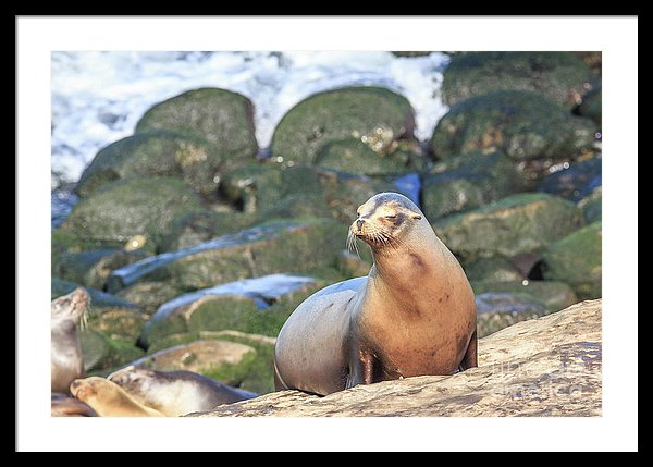 Fine art photographer Edward M. Fielding's images of San Diego, California - https://edward-fielding.pixels.com/co...