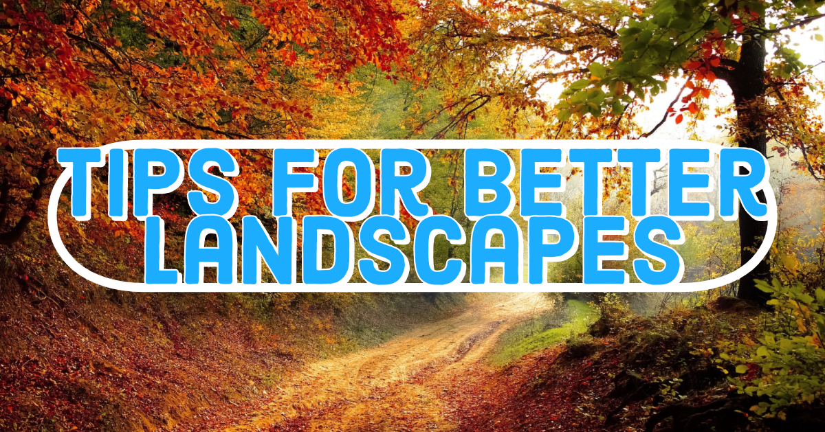 Tips for better landscapes