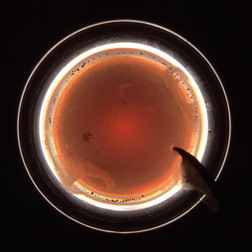 cosmo cocktail recipe