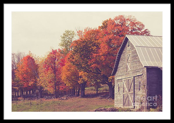 Autumn Color On The Old Farm