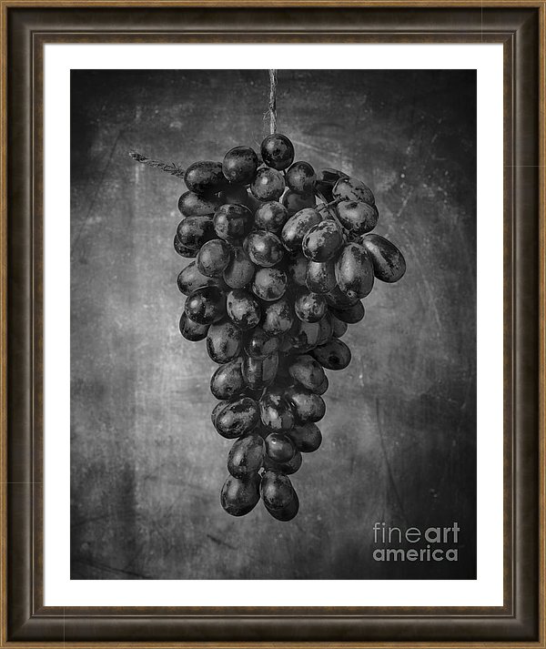 Hanging Grapes Still Life by Edward FIelding