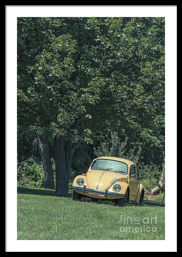 Old Yellow Bug by Edward M. Fielding