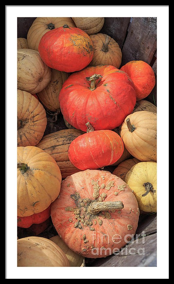 modern farm house decor