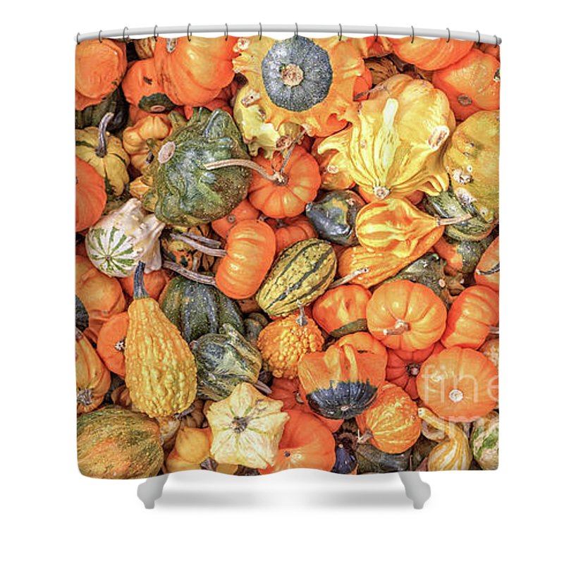 Fall Harvest Modern Farmhouse