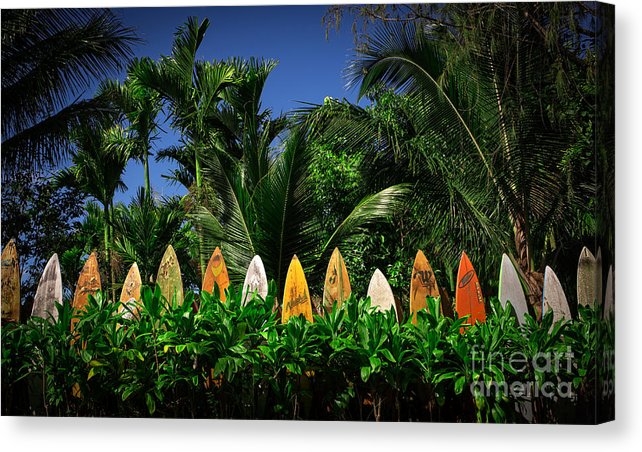 Surfboard fence Maui Hawaii artwork print for sale