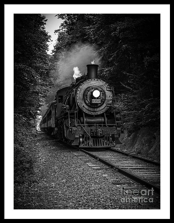 Whistle Through The Forest