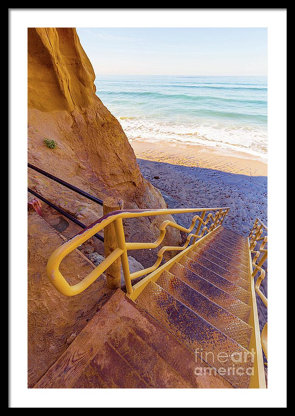 Trouble in Torrey Pines State Park