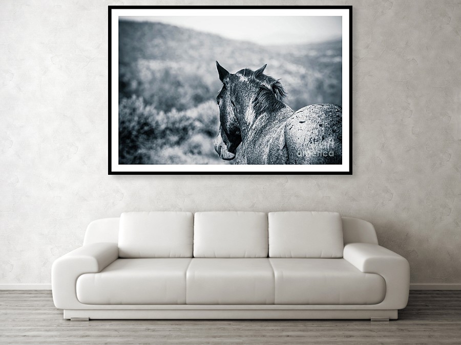 Wild Horses art by Edward Fielding