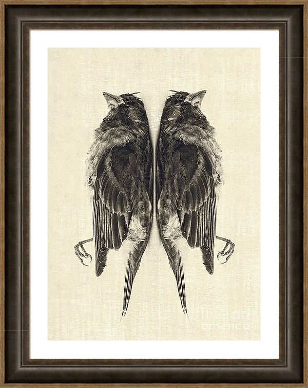 Mirror Mirror by Edward Fielding