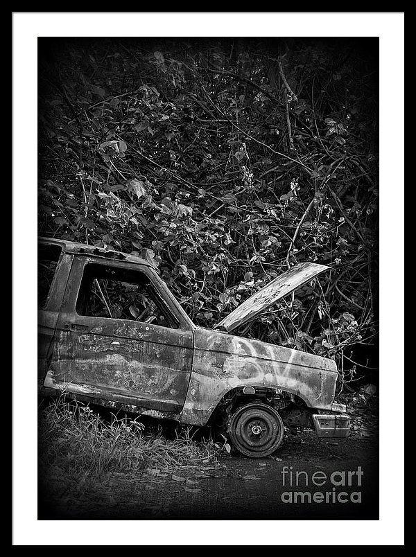 Abandoned Car Hawaii