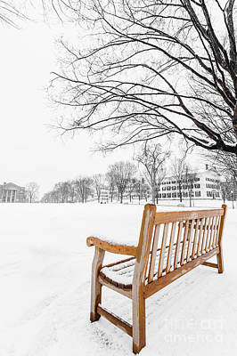 Dartmouth Bench Winter