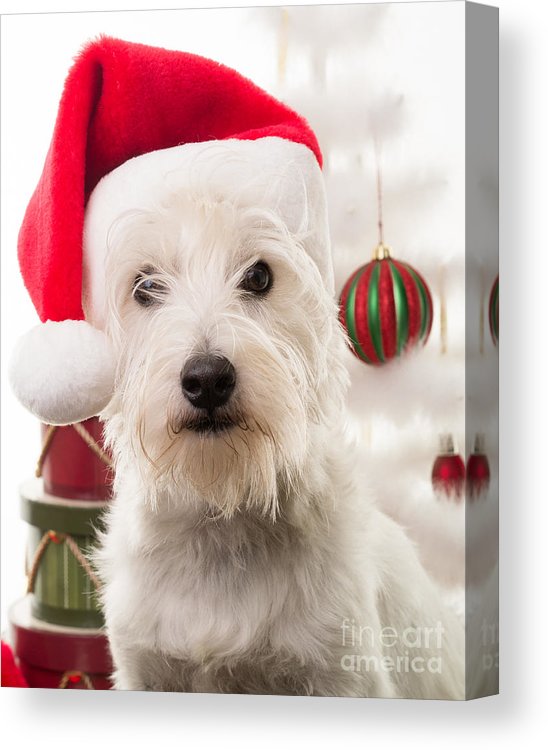 Unique Christmas cards