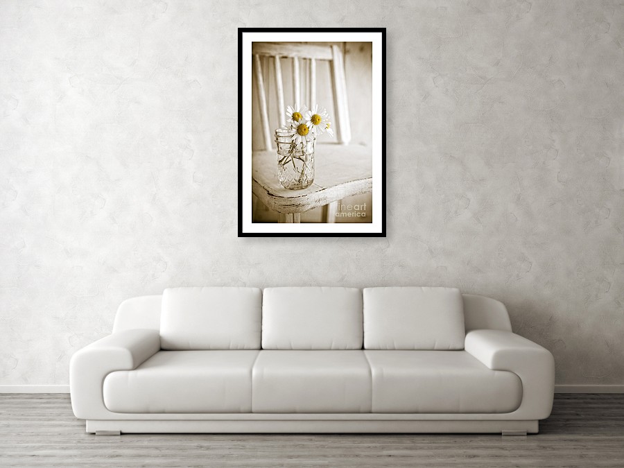 Floral photography simple flowers prints available