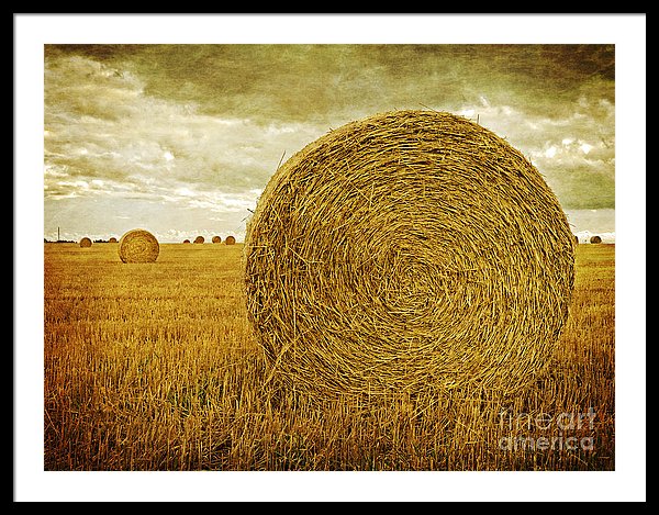 Hay Bales Prince Edward Island