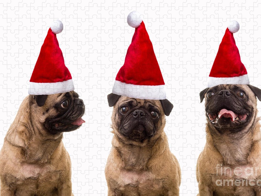 Christmas themed puzzles the best