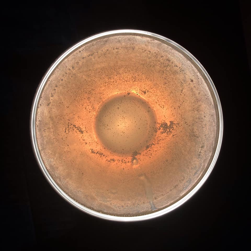 Santa Marta Daiquiri,